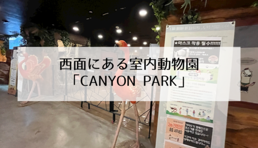 小さい子供でも楽しめる！韓国釜山の室内動物園「CANYON PARK」動物園以外にも遊べるスペースがたくさん！
